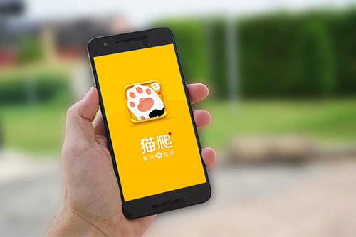 喵 爬